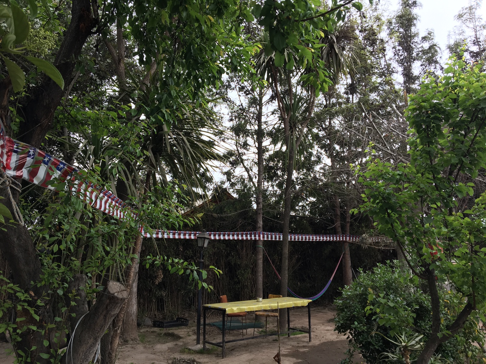 Patio de la comunidad